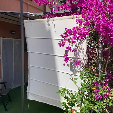 Apartament Desiree