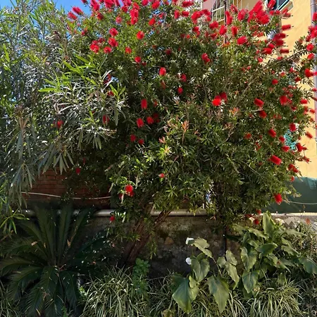 Desiree Apartamento La Spezia